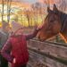 Meeting a horse at Spruce Lane Farm at Bronte Creek