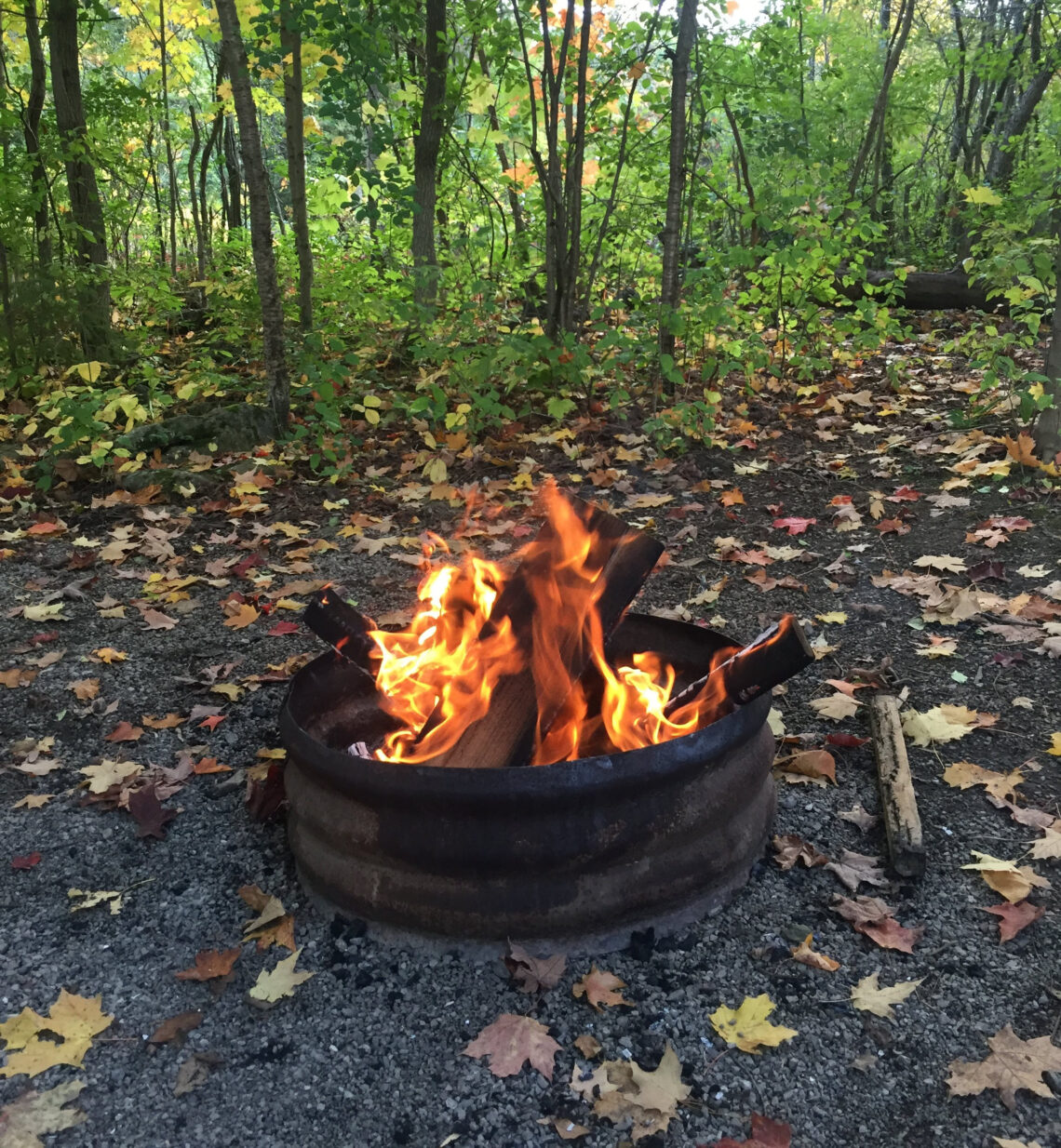 A campfire surrounded by trees on a fall day